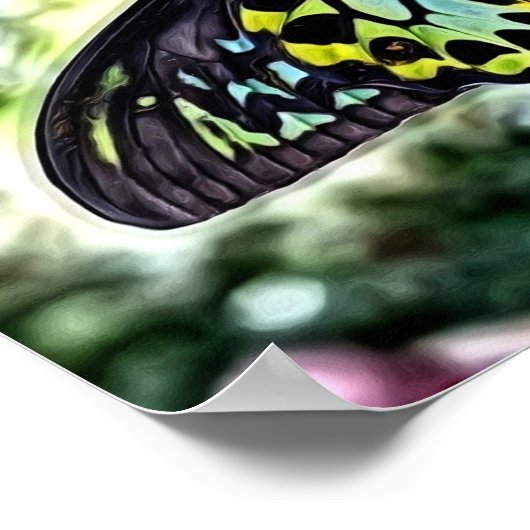 蝶絵画虫 ポスター (角)