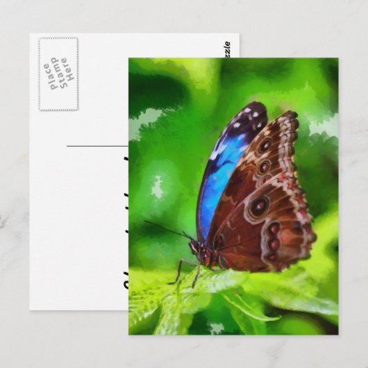 蝶絵画虫 ポストカード (正面/裏面)