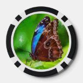 蝶絵画虫 ポーカーチップ (裏面)