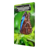 蝶絵画虫 ミニクリップボード (アングル2)