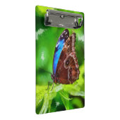 蝶絵画虫 ミニクリップボード (アングル)