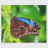 蝶絵画虫 ラッピングペーパー (フラット)