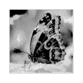蝶絵画虫 ラバースタンプ (インプリント)