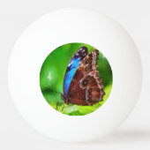 蝶絵画虫 卓球ボール (正面)