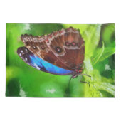 蝶絵画虫 枕カバー (裏面)