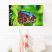 蝶絵画虫 横断幕 (インサイチュ)