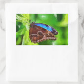 蝶絵画虫 長方形シール (バッグ)