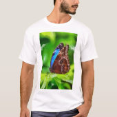 蝶絵画虫 Tシャツ (正面)