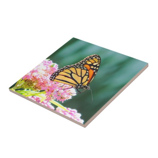 蝶美しい装飾タイル タイル (側面)