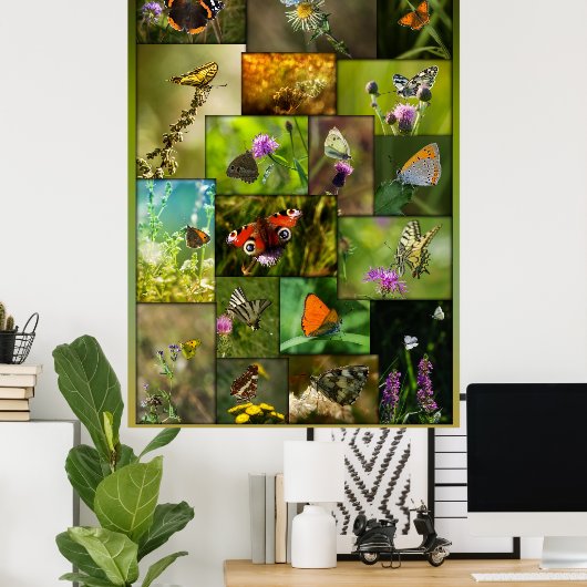 蝶美しい ポスター (ホームオフィス)