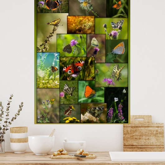 蝶美しい ポスター (キッチン)