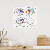 蝶羽の各断面の図 ポスター (キッチン)