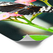 蝶自然昆虫ピンク色の花 ポスター (角)