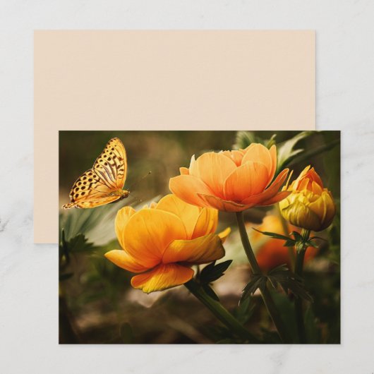 蝶花はがき ポストカード (正面/裏面)