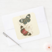 蝶葉付きセピカラフルア スクエアシール (封筒)