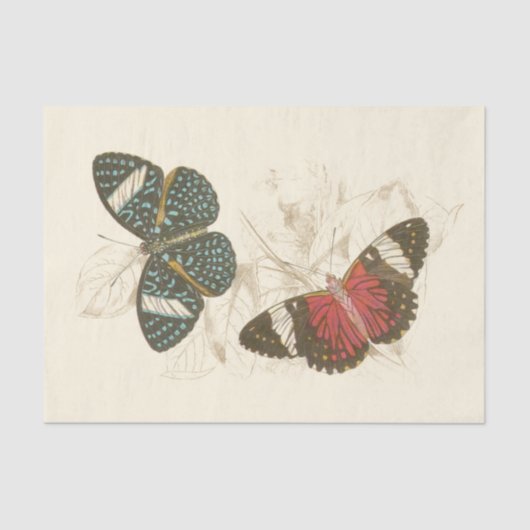 蝶葉付きセピカラフルア 薄葉紙 (正面)