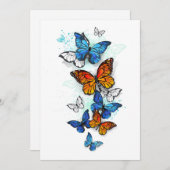 蝶飛んでいるモルフォと（昆虫）オオカバマダラ、モナーク アドバイスカード (正面/裏面)