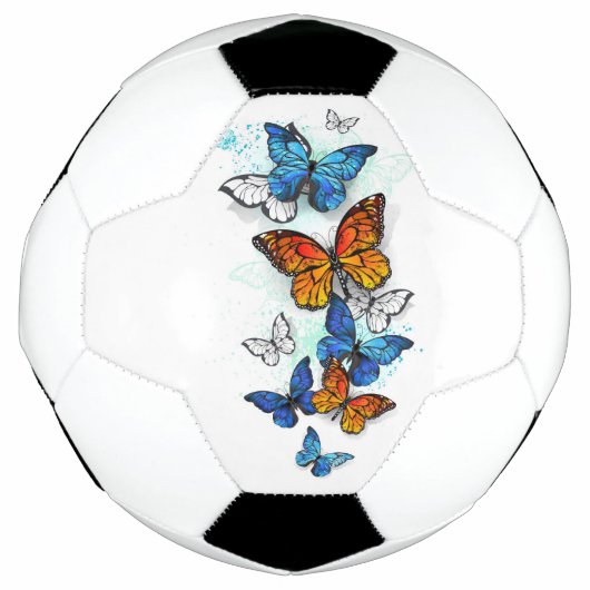 蝶飛んでいるモルフォと（昆虫）オオカバマダラ、モナーク サッカーボール (正面)
