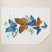 蝶飛んでいるモルフォと（昆虫）オオカバマダラ、モナーク シェルパブランケット (正面(横))