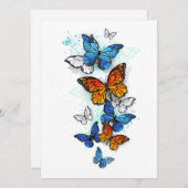 蝶飛んでいるモルフォと（昆虫）オオカバマダラ、モナーク セーブザデート (正面/裏面)