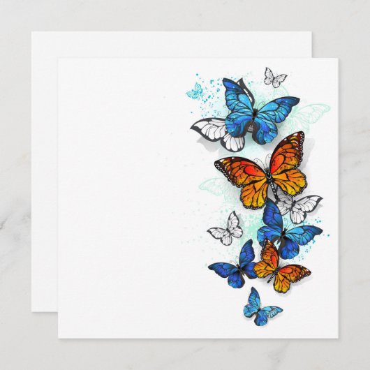 蝶飛んでいるモルフォと(昆虫)オオカバマダラ、モナーク セーブザデート (正面/裏面)