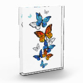 蝶飛んでいるモルフォと（昆虫）オオカバマダラ、モナーク フォトブロック (左)