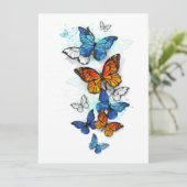 蝶飛んでいるモルフォと（昆虫）オオカバマダラ、モナーク プログラム (スタンド正面)