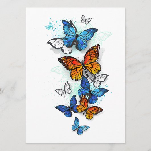 蝶飛んでいるモルフォと（昆虫）オオカバマダラ、モナーク プログラム (正面)