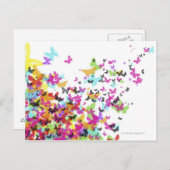 蝶飛んでいる類 ポストカード (正面/裏面)