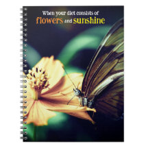 蝶食べ物を与えの花