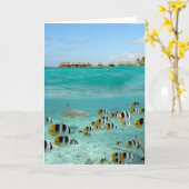 蝶魚の挨拶状を追跡している鮫 カード (黄色い花)