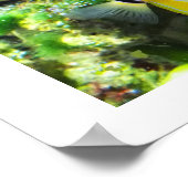 蝶魚 ポスター (角)