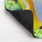 蝶魚 マウスパッド (コーナー)