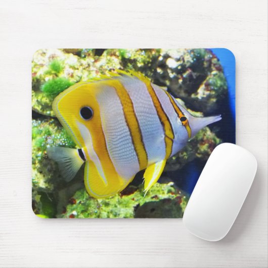 蝶魚 マウスパッド (マウス)