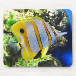 蝶魚 マウスパッド