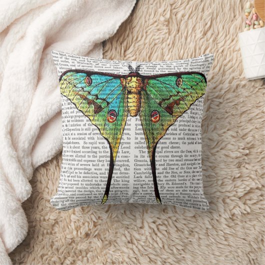 蝶鮮やか クッション (ブランケット)