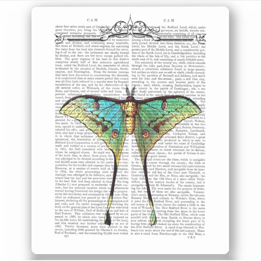 蝶鮮やか シール (正面)