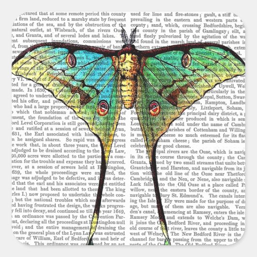 蝶鮮やか スクエアシール (正面)