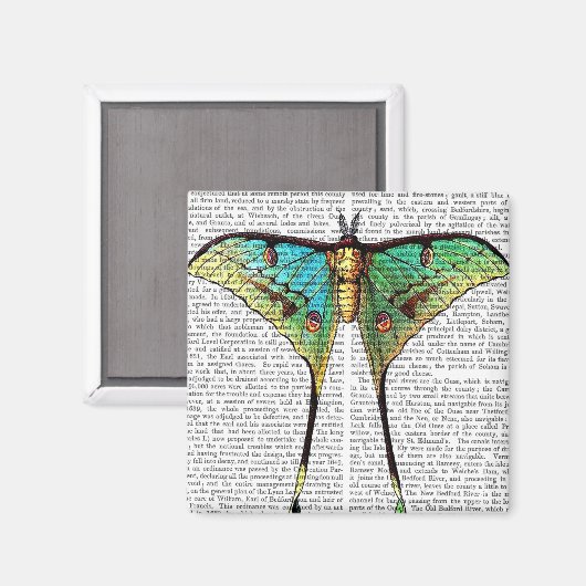 蝶鮮やか マグネット (正面/裏面)