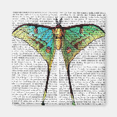 蝶鮮やか マグネット (正面)