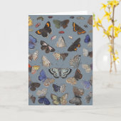 蝶1842年 カード (黄色い花)