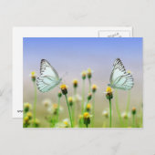 蝶2つ、花2つ ポストカード (正面/裏面)
