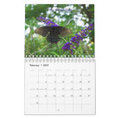 蝶2010カレンダー カレンダー (2月 2027)