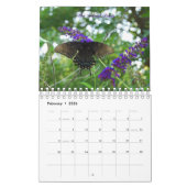 蝶2010カレンダー カレンダー (2月 2026)