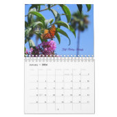 蝶2010カレンダー カレンダー (1月 2026)