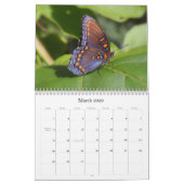 蝶2011カレンダー カレンダー (3月 2026)