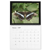 蝶2014カレンダー カレンダー (2月 2027)