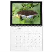 蝶2014カレンダー カレンダー (1月 2026)