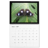 蝶2015カレンダー カレンダー (3月 2027)