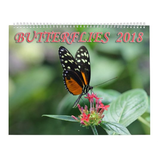 蝶2018年 カレンダー (カバー)